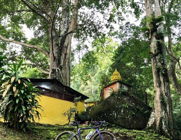 Bike Temple