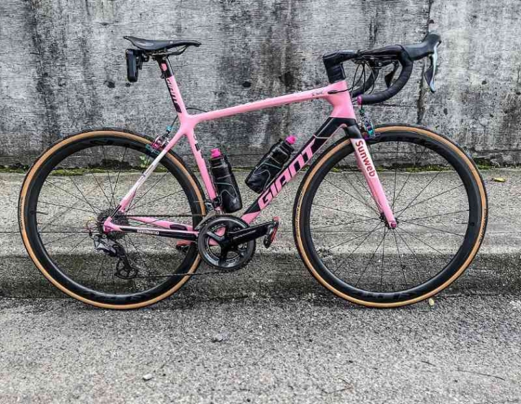 pedalpushers.nyc A lightweight pink Giant TCR Advanced SL