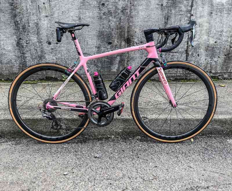 pedalpushers.nyc A lightweight pink Giant TCR Advanced SL