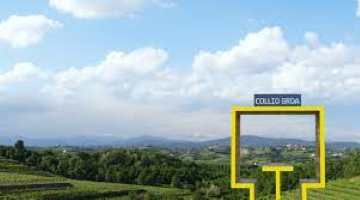 55 GP Brda-Collio 2024