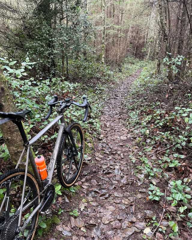 4 Gravel bike equiped with 6 spoke full carbon wheels