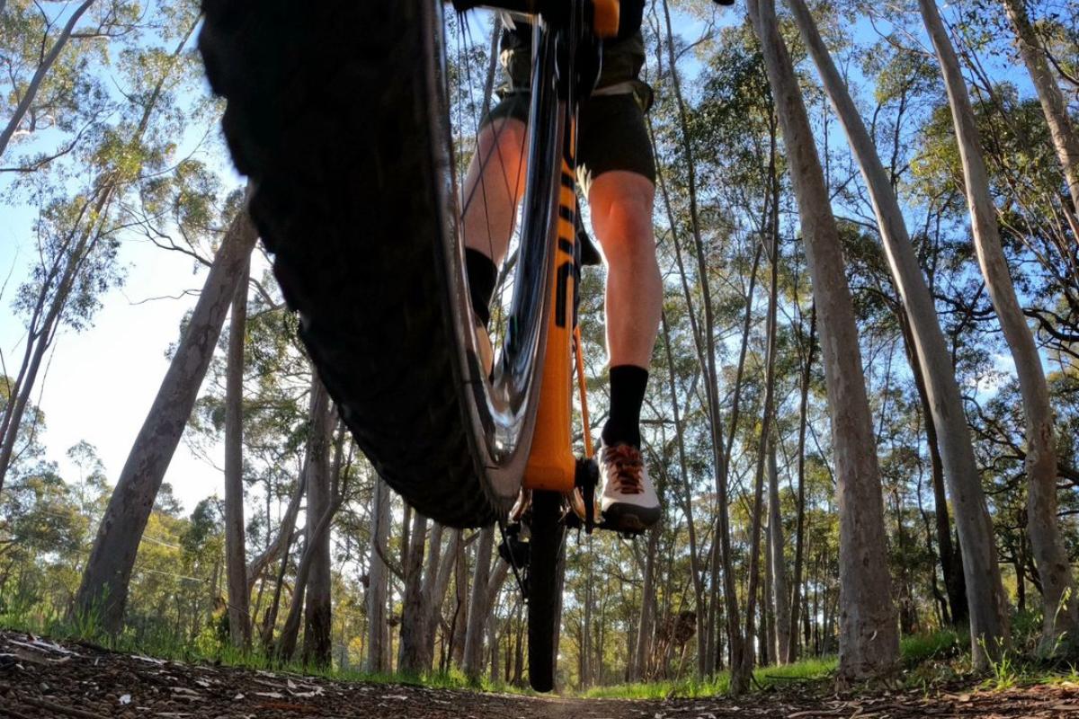 Guide to Cadence in Cycling Everything You Need to Know Elitewheels